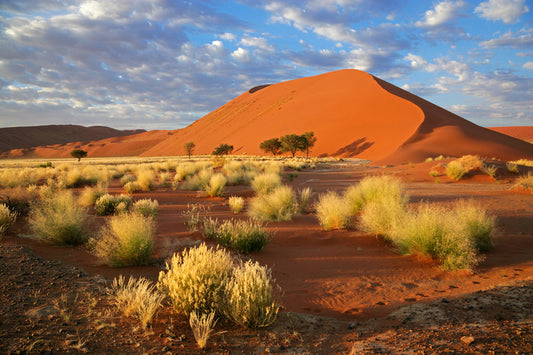 Desert
