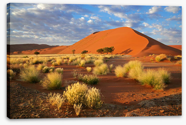 Desert