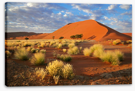 Desert