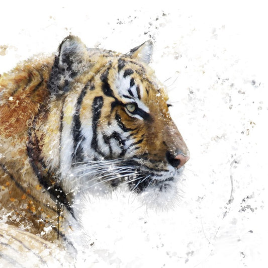 Eye of the tiger