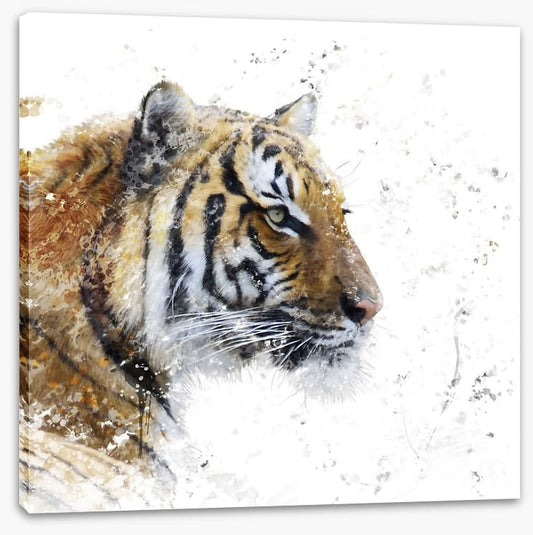 Eye of the tiger