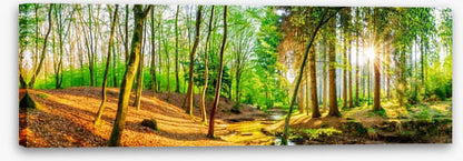 Sunbeam stream panorama