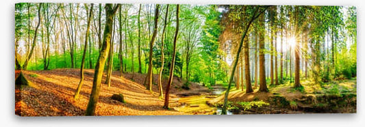 Sunbeam stream panorama