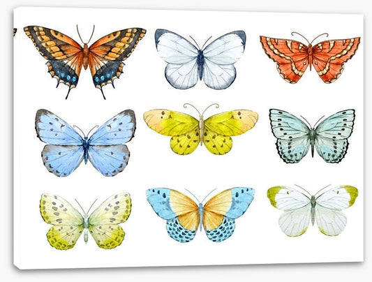 Butterfly nine