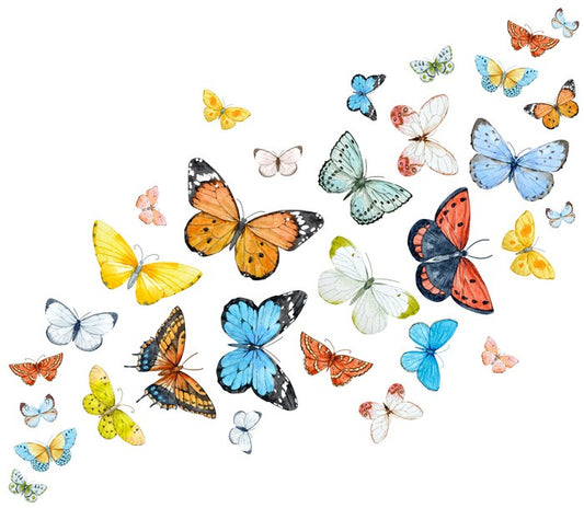 Butterfly flight