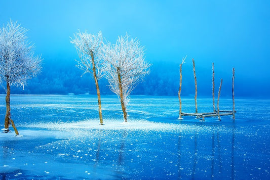 The frozen lake