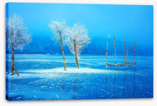 The frozen lake