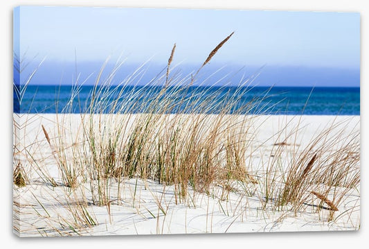 Sandgrass