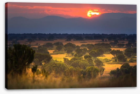 Africa