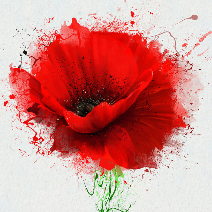Poppy splash