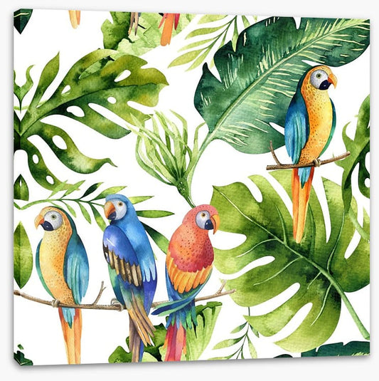 Odd bird out