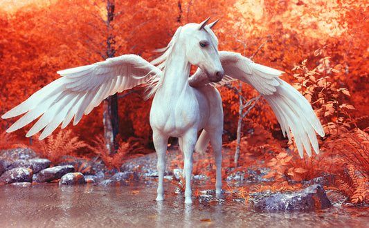 Pegasus in fall
