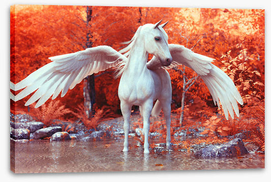 Pegasus in fall