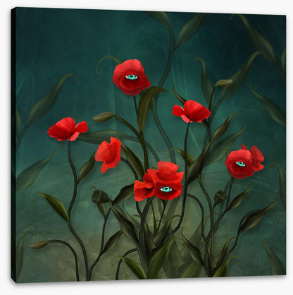 Peeping poppies