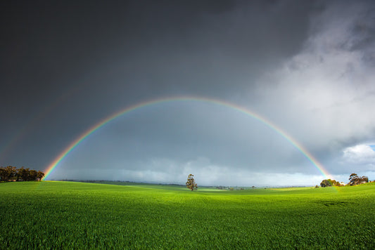 Under the rainbow
