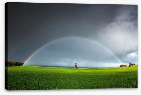 Under the rainbow