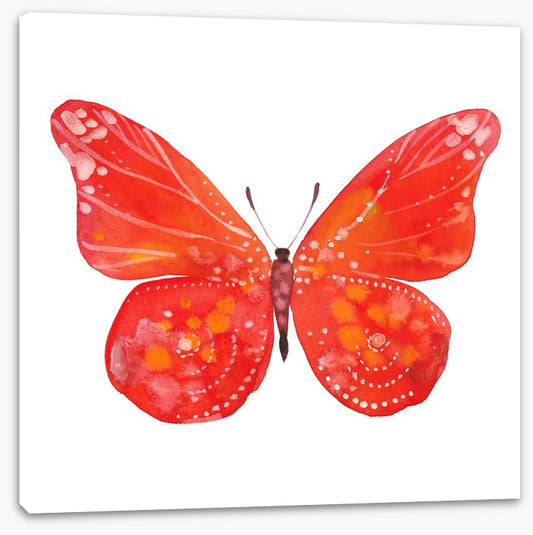 Social butterfly III