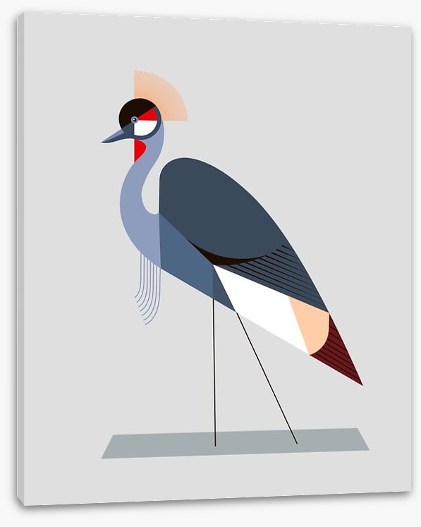The crowned crane