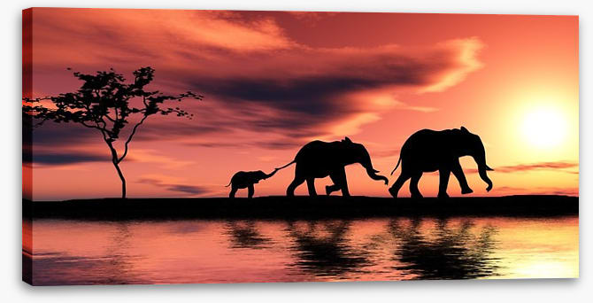Elephant family silhouette