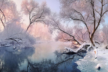 Frosty calm