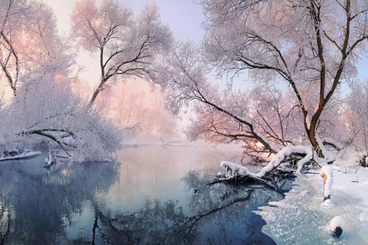 Frosty calm