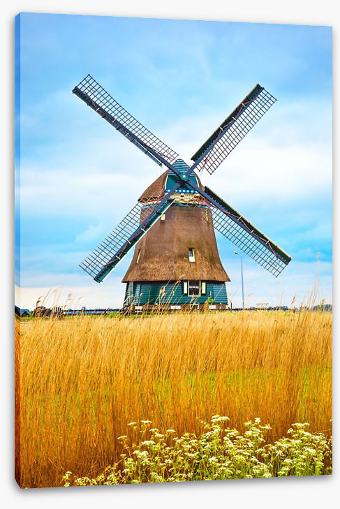 Windmill in the wheat