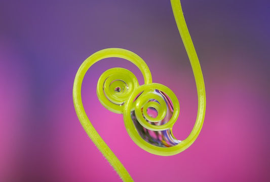 Touching tendrils