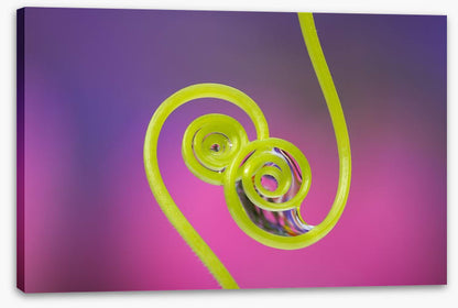 Touching tendrils