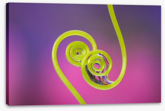 Touching tendrils