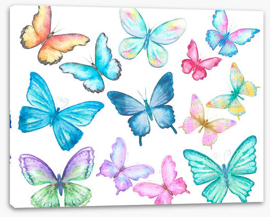 Butterflies