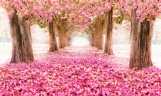 Strolling through spring