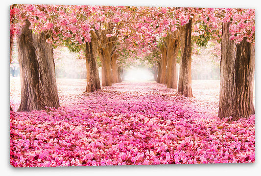 Strolling through spring