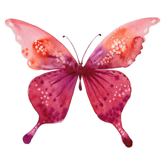 Social butterfly I