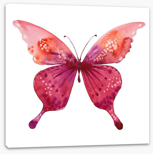 Social butterfly I