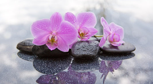 Orchid petal pebbles