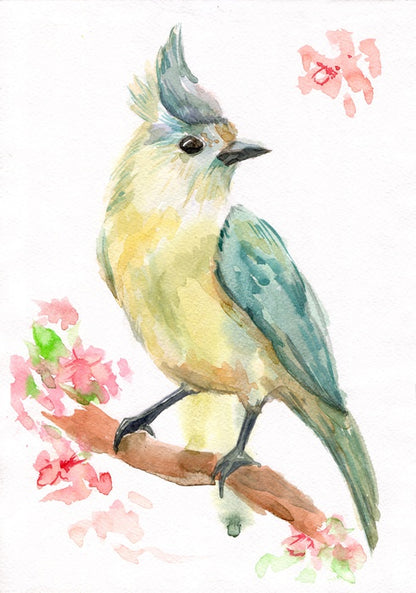 Spring bird branch