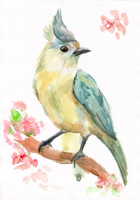Spring bird branch
