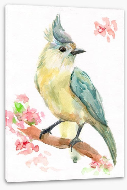 Spring bird branch
