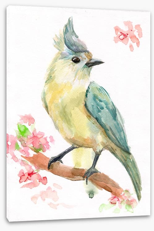Spring bird branch