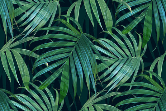 Fronds of fancy
