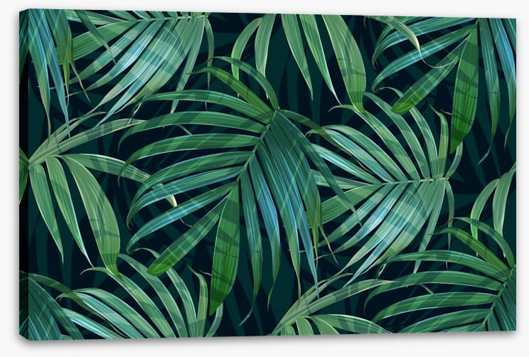 Fronds of fancy