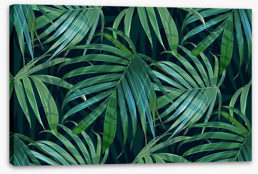 Fronds of fancy