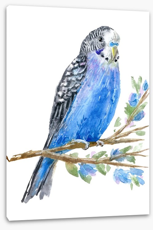 Blue budgie branch