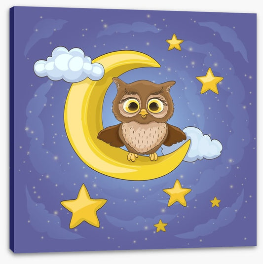 The moon owl