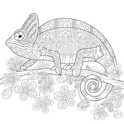 Colour me veiled chameleon