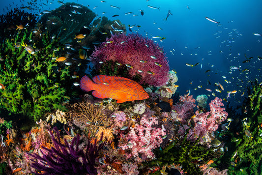 Underwater
