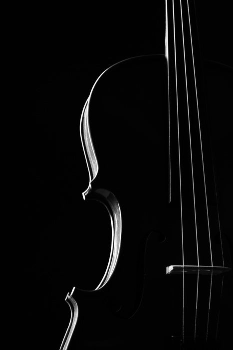 Symphony silhouette