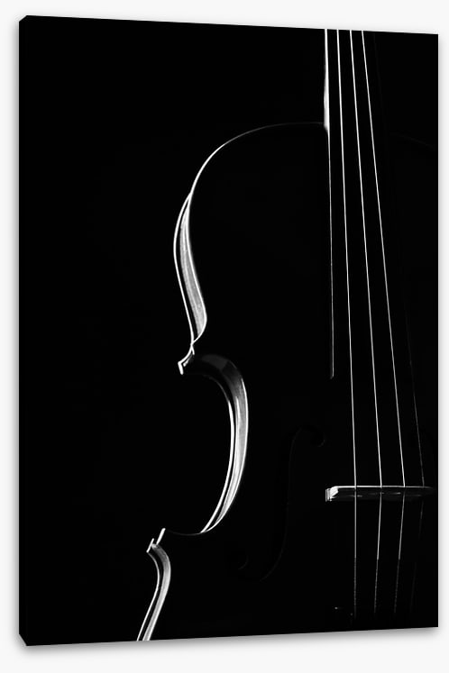 Symphony silhouette