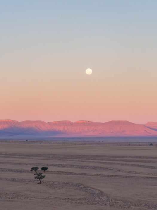 Desert moonrise
