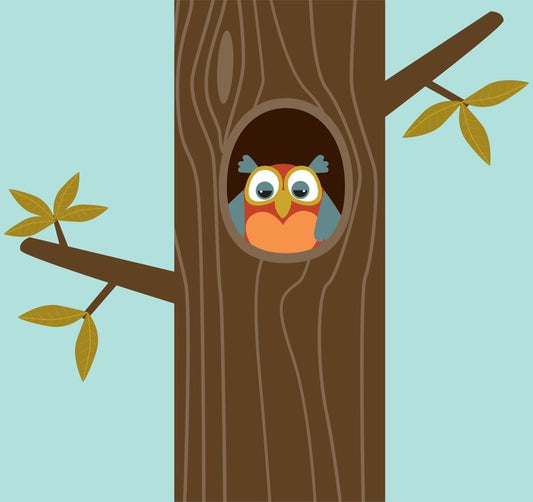 Owls